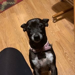 Meet your Posher, Brandy